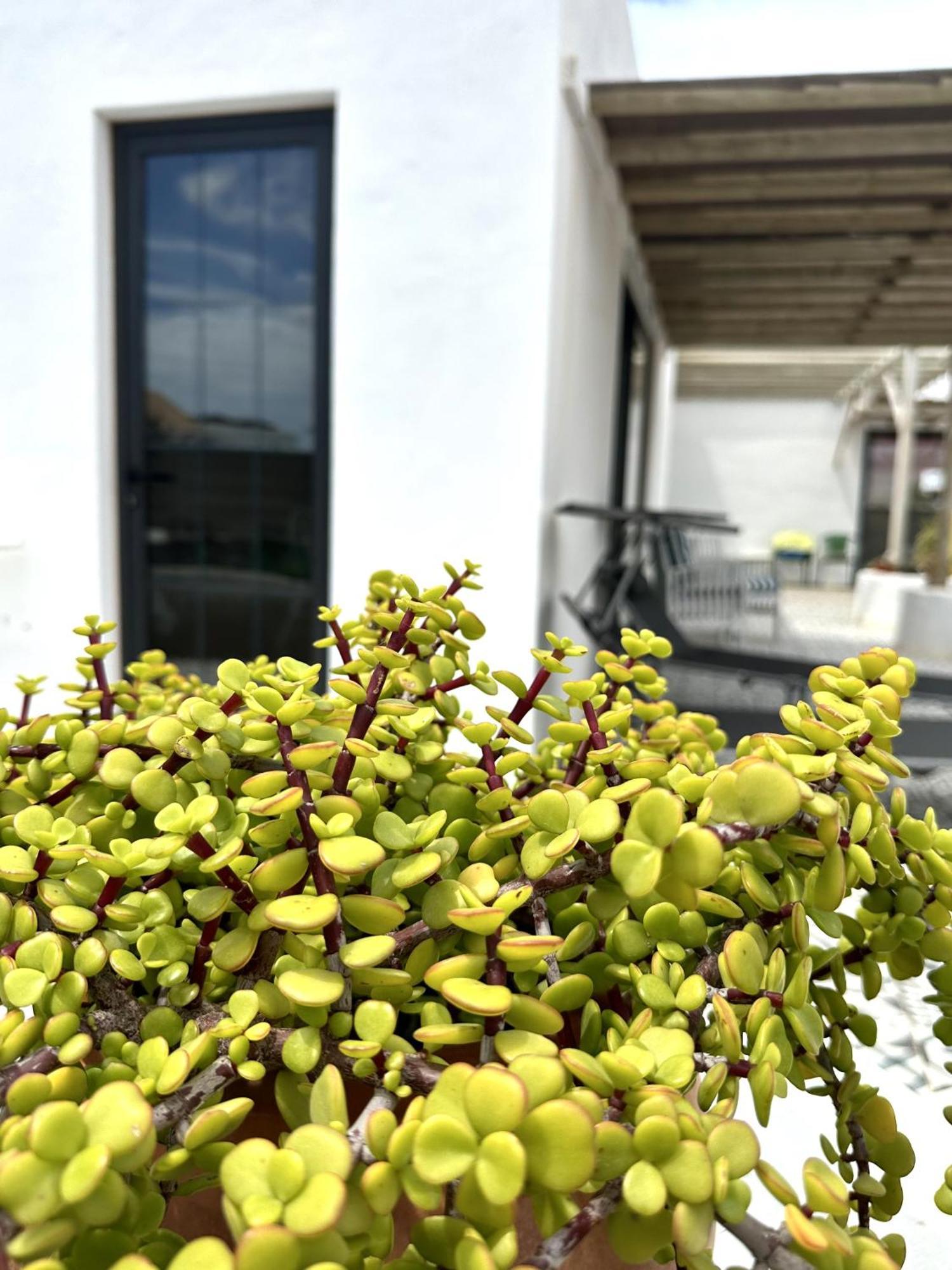 Casita Tiare Lajares Apartment Ngoại thất bức ảnh