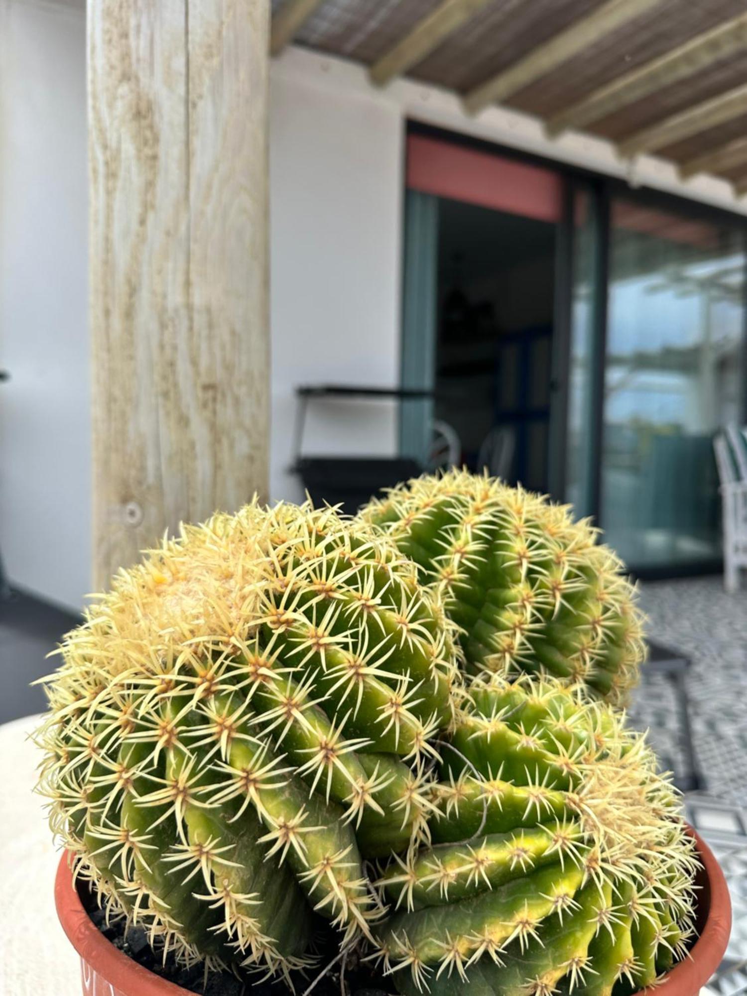 Casita Tiare Lajares Apartment Ngoại thất bức ảnh